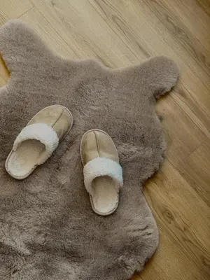 a pair of shoes on top of a rug at Evergreen Lux in Kopaonik