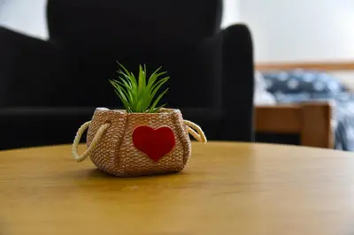 a small purse with a plant in it on a table at Apartman Sanja in Džavarci