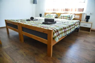 a bed with a cat laying on top of it at Apartman Sanja in Džavarci
