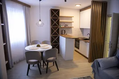 a kitchen and a table and chairs in a room at Apartmens in Kopaonik in Kopaonik