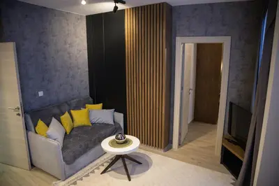 a living room with a couch and a television at Apartmens in Kopaonik in Kopaonik