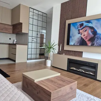 a living room with a tv and a fireplace at V i N Boutique Apartment in Niš