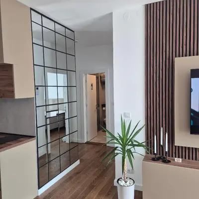 a large mirror in a living room with a potted plant at V i N Boutique Apartment in Niš