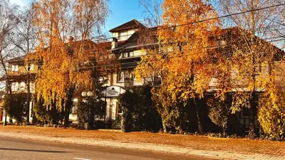 a large house with a tree in front of it at Motel Kruna in Despotovac