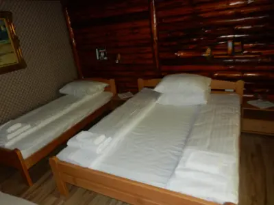 two twin beds in a room with wooden walls at Apartments Izvor Lisine in Strmosten