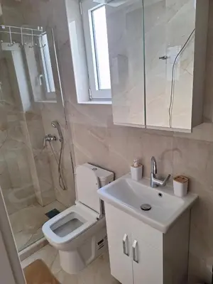a bathroom with a toilet and a sink and a shower at Apartman Eva in Vrnjačka Banja