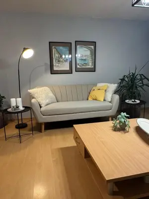 a living room with a couch and a table at Prostran moderan apartman110 kvadrata u centru- 2 spavaće sobe, parking u dvoristu in Jagodina