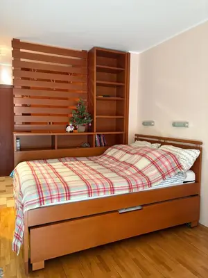 a bedroom with a bed with a wooden headboard at Cozy Bianca Studio in Kopaonik