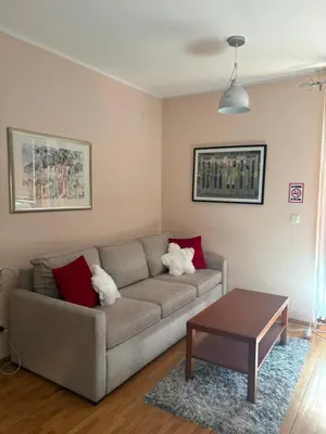 a living room with a couch and a table at Cozy Bianca Studio in Kopaonik