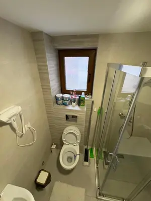 a bathroom with a toilet and a shower and a window at Maya 2 apartman sa dve spavace sobe in Vrnjačka Banja
