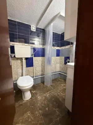 a bathroom with a white toilet and blue tiles at Šumski mir in Despotovac
