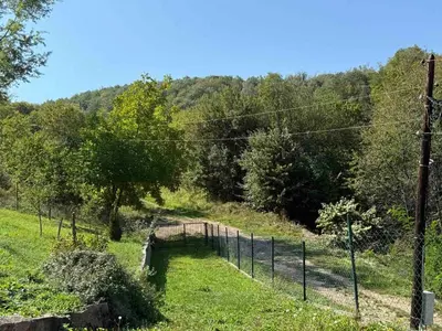 a fence in a field with a small bridge at Šumski mir in Despotovac