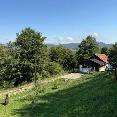 Šumski mir
