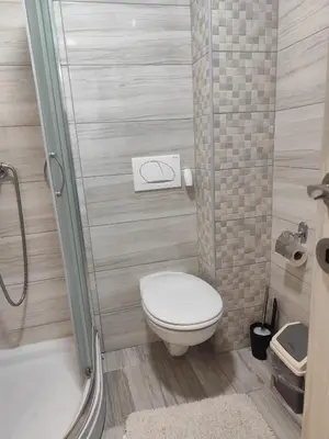 a small bathroom with a toilet and a shower at Bili 3 in Paraćin