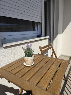 a wooden table with a potted plant on a balcony at Bili 3 in Paraćin