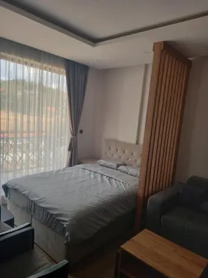 a bedroom with a bed and a couch and a window at Residence Hill A84 in Kopaonik