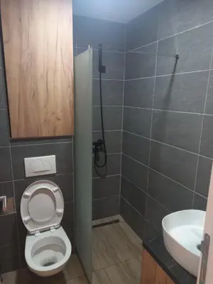 a bathroom with a toilet and a sink at Residence Hill A84 in Kopaonik