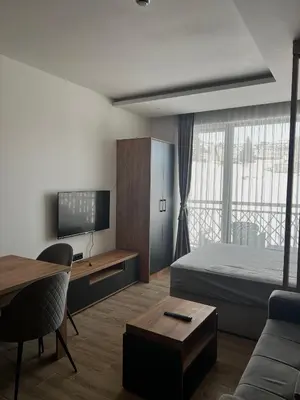 a bedroom with a bed and a desk and a tv at Residence Hill A84 in Kopaonik