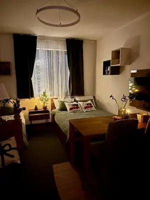 a living room with a bed and a window at Riverside Apartmani Kopaonik in Brzeće