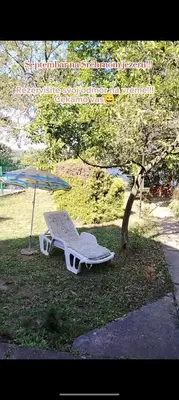a chair and an umbrella next to a tree at Ivanka Apartmani in Bukorovac
