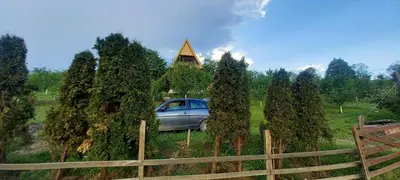 a car parked in a field between trees at Negovanovic Vikendica in Bukorovac