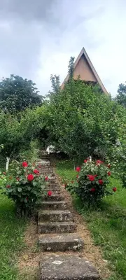a garden with red roses and a house at Negovanovic Vikendica in Bukorovac