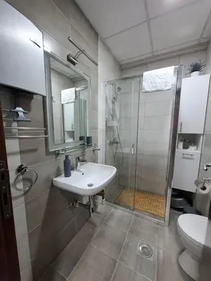 a bathroom with a sink and a shower and a toilet at Apartman Dora in Jagodina