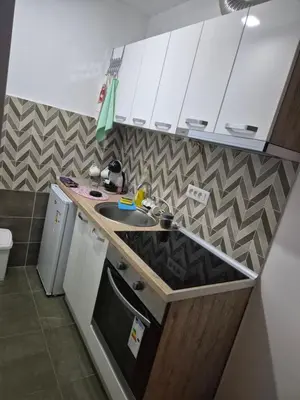 a small kitchen with a sink and a dishwasher at Maki Aki Apartman in Jagodina
