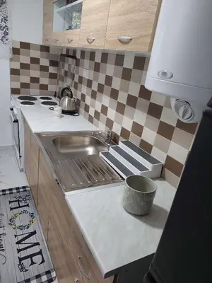 a small kitchen with a sink and a stove at South Happiness in Leskovac