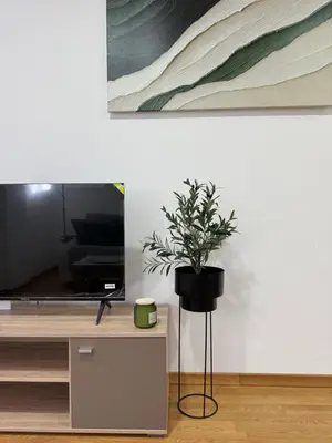 a potted plant sitting on a table next to a tv at Apartman Lambros in Soko Banja