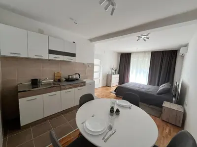 a kitchen and living room with a table and a bed at Apartman Ramonda in Niš