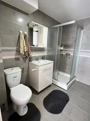 a bathroom with a toilet and a shower and a sink at Apartman Ramonda in Niš