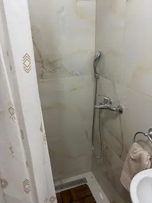 a bathroom with a shower and a sink at Royal Homolje Apartments in Žagubica