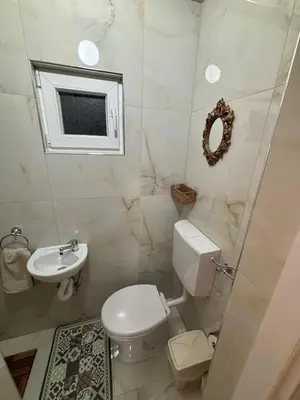 a bathroom with a toilet and a sink and a mirror at Royal Homolje Apartments in Žagubica