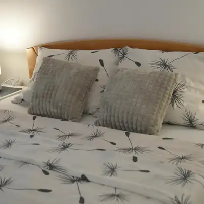 Apartman Dimić