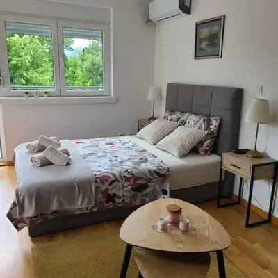 Apartman Živković