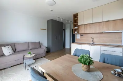 a kitchen and a living room with a couch and a table at Lawa 22 in Kopaonik