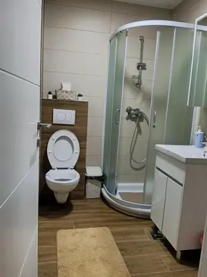 a bathroom with a shower and a toilet and a sink at Markovic san in Vrnjačka Banja