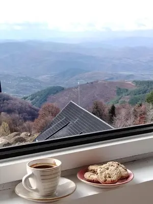a cup of coffee and a plate of cookies on a window at AlibiKopaonikSky32 in Kopaonik