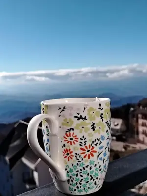 a coffee cup with flowers on it sitting on a ledge at AlibiKopaonikSky32 in Kopaonik