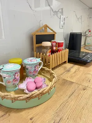 a table with a tray with two cups and pink cookies at Viva Sićevo
