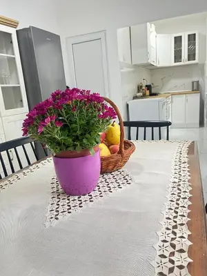 a basket of flowers and a basket of stuffed animals on a table at Viva Sićevo
