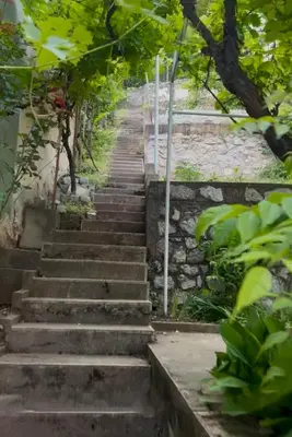 a set of stairs in a garden with trees at Viva Sićevo