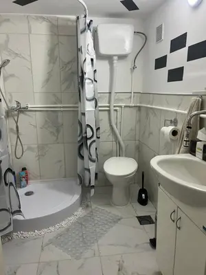 a bathroom with a shower and a toilet and a sink at Avram019 in Zaječar