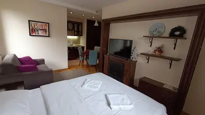 a bedroom with a bed and a couch and a television at Vila Mecava Centar in Kopaonik