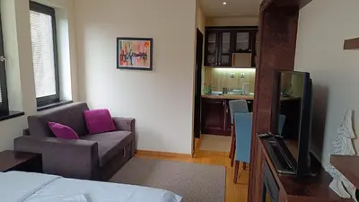 a living room with a couch and a chair at Vila Mecava Centar in Kopaonik