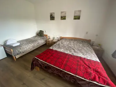 a bedroom with two beds and a red blanket at Deda Bocin konak