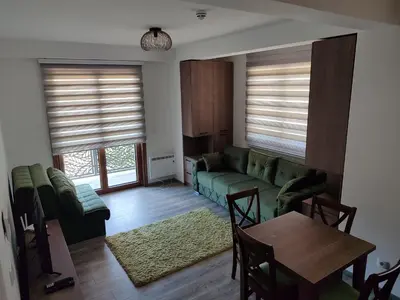 Gallery image of Ski Apartmani Elena in Kopaonik