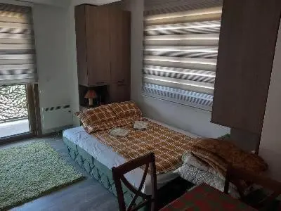 Gallery image of Ski Apartmani Elena in Kopaonik