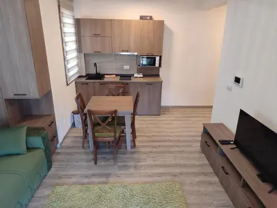 Gallery image of Ski Apartmani Elena in Kopaonik